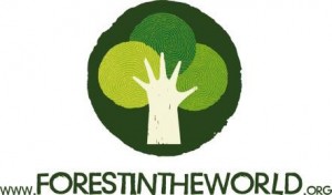 Concorso foreste