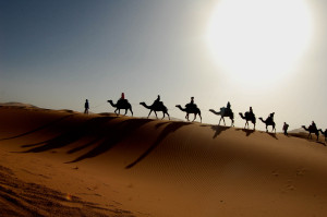 Sahara